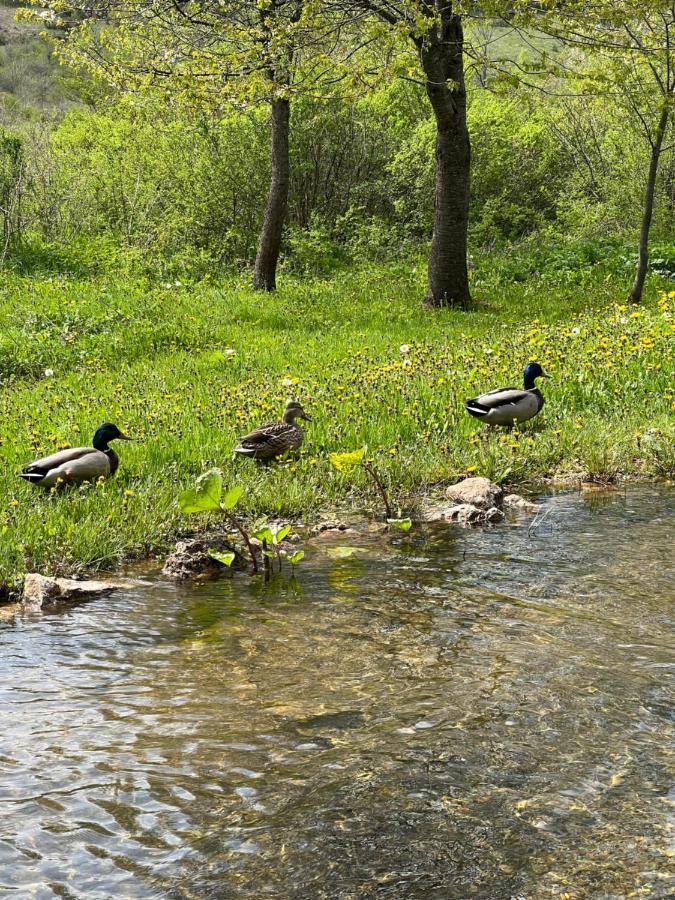 Rustic Inn River 2 Плитвицкие озёра Экстерьер фото